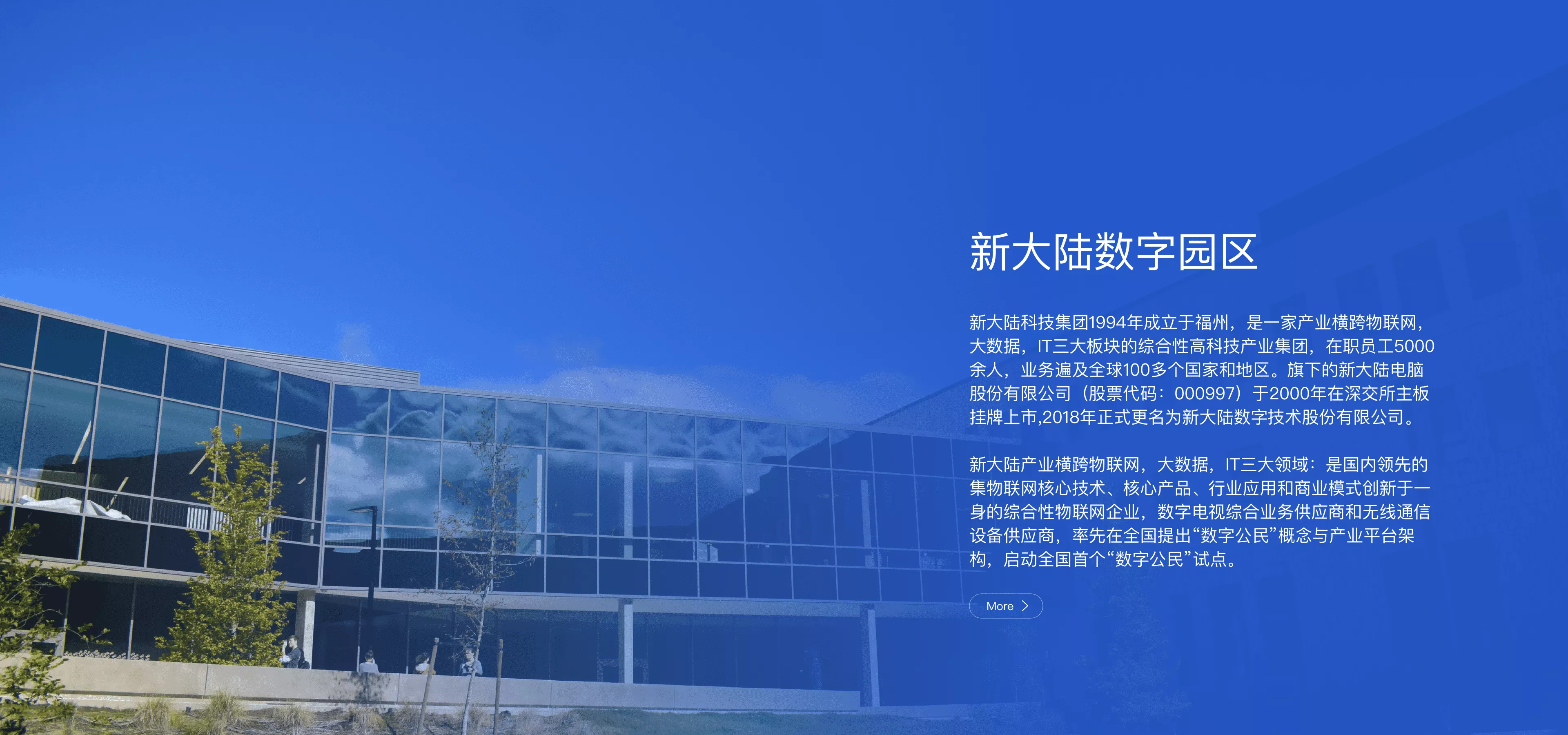 新大陆